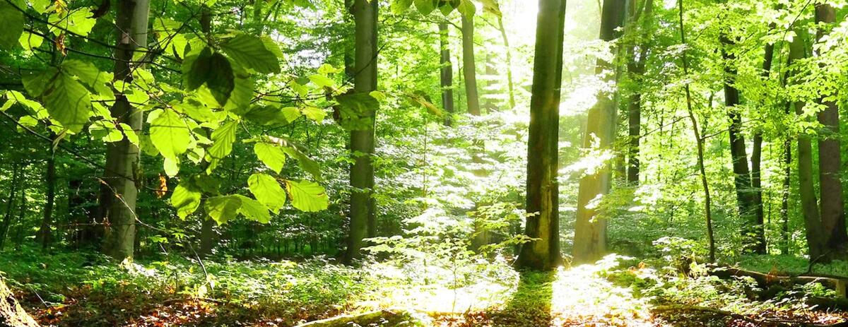 Bezpečnost a spolehlivost chytrého domu Caspia